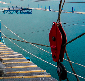 懸索橋施工過(guò)程中起重滑車(chē)的作用